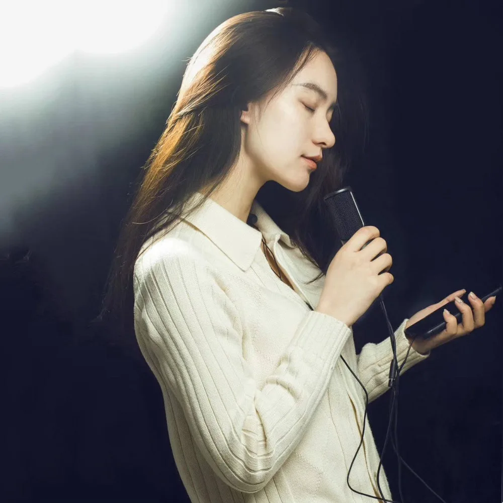 Original xiaomi Mijia JUNLIN digital microphone HD noise reduction professional HIFI is widely comp