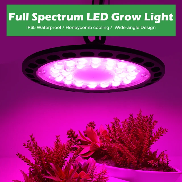 Lampe horticole de croissance LED, 100/150/200W, étanche IP65, UFO