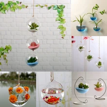 Цветочное растение Настенная прозрачная стеклянная ваза бутылка горшок домашний садовый шар декор Ручная выдувная ваза для украшения интерьера