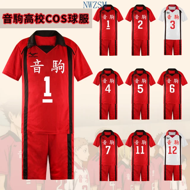 Anime Haikyuu Cosplay Jersey Karasuno High School Shirt Shorts Set Hinata  Shoyo Costume Volleyball Club Uniform - AliExpress