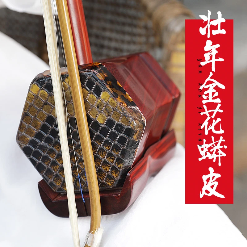 Rosewood Hu Qin Professional Performance Erhu Chinese Instrument with Full Accessories
