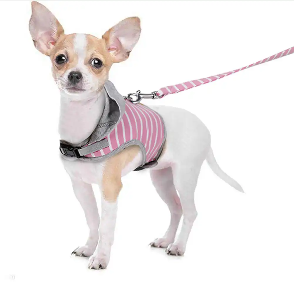 hooded dog harness