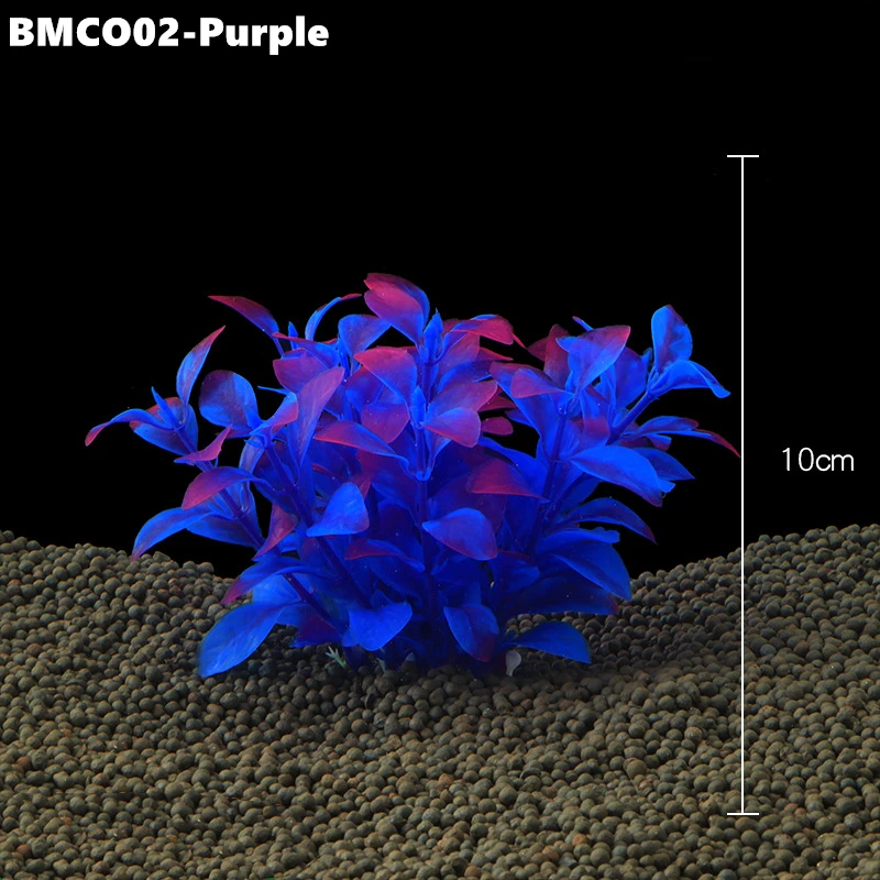 BMCO02 (6)