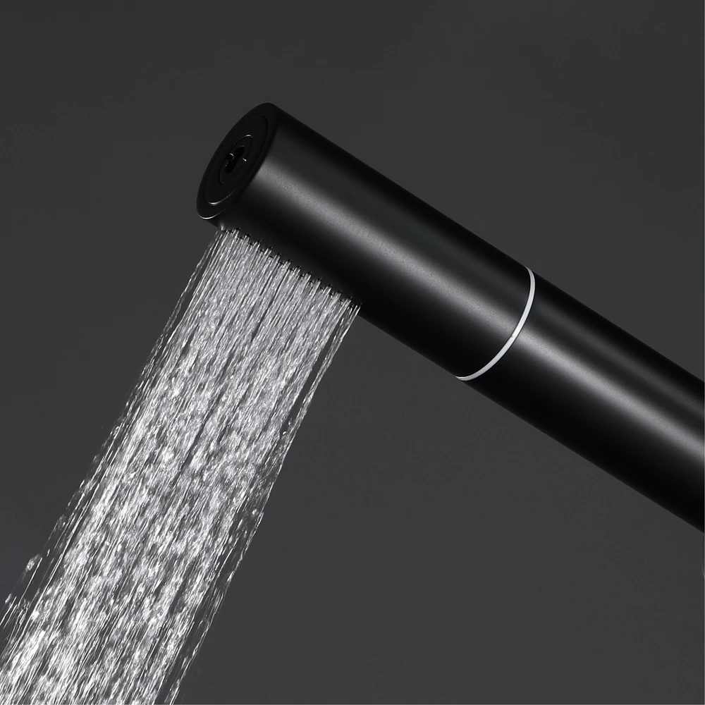 Black/Chrome Brass Hand held Shower Head Two functions Bathroom Handheld Rain / Jet Shower Accessories