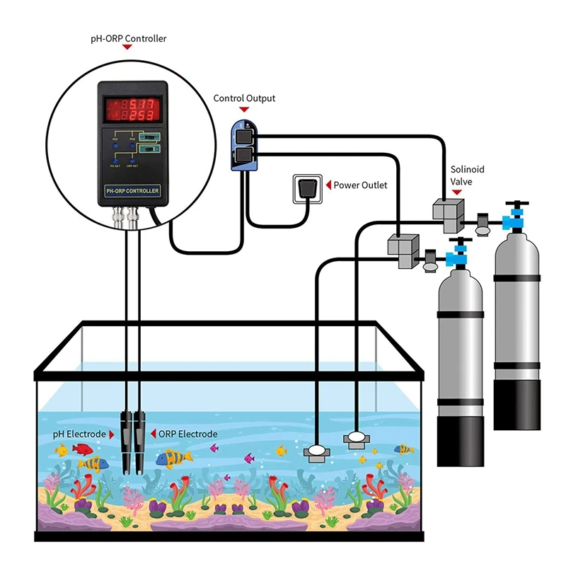 TOP!-2 in 1 Digital PH& ORP Redox Controller with Separate Relays Repleaceable Electrode BNC Type Probe Water Quality Monitor T