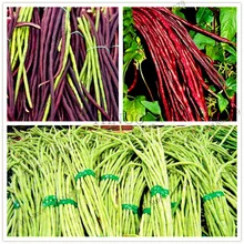 20 шт./пакет вигна Unguiculata растения, растительное органическое здоровые овощные растения, домашний сад бонсай растения DIY