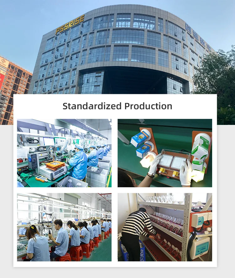 High Quality Renovação da Casa