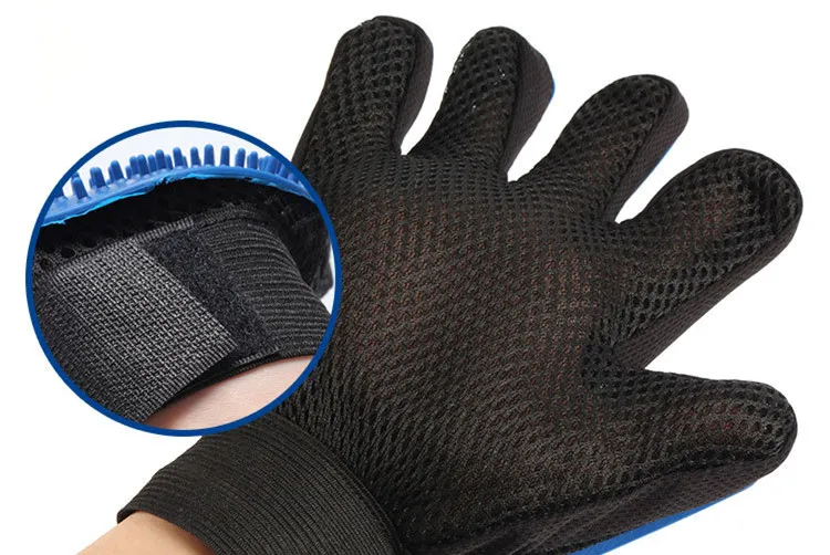 8919763260_1771561887