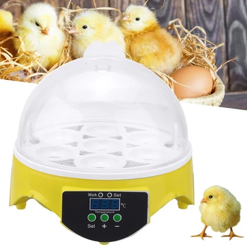 

220V Fully Automatic Incubator 7 Eggs Incubator Duck Chicken Eggs Incubator Hatcher For Chicken Duck Bird Pigeon Quail
