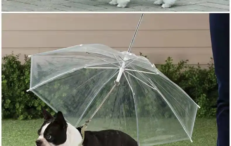 Convenient Transparent Rain Umbrella With A Leash For Dogs