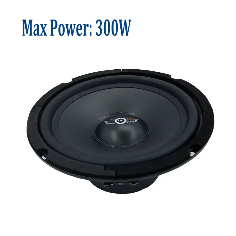 speaker 8 inch 300 watt