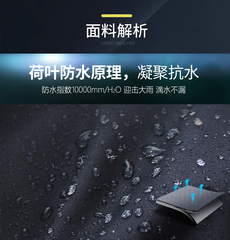 描述图(24)