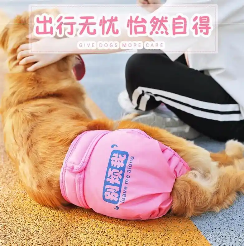 dog underwear for heat
