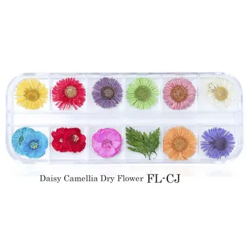 

12-Box Boxed Nail Flower Accessories 6 Japanese Women'S Fashion Nail Art Professional Fashion Diy Nail