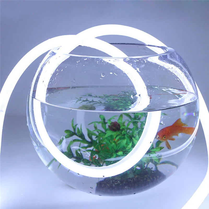 10869594272_1715274311