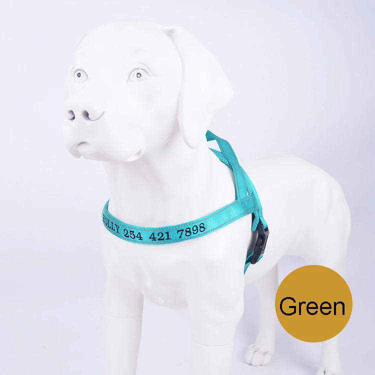 9355320609_2096751904