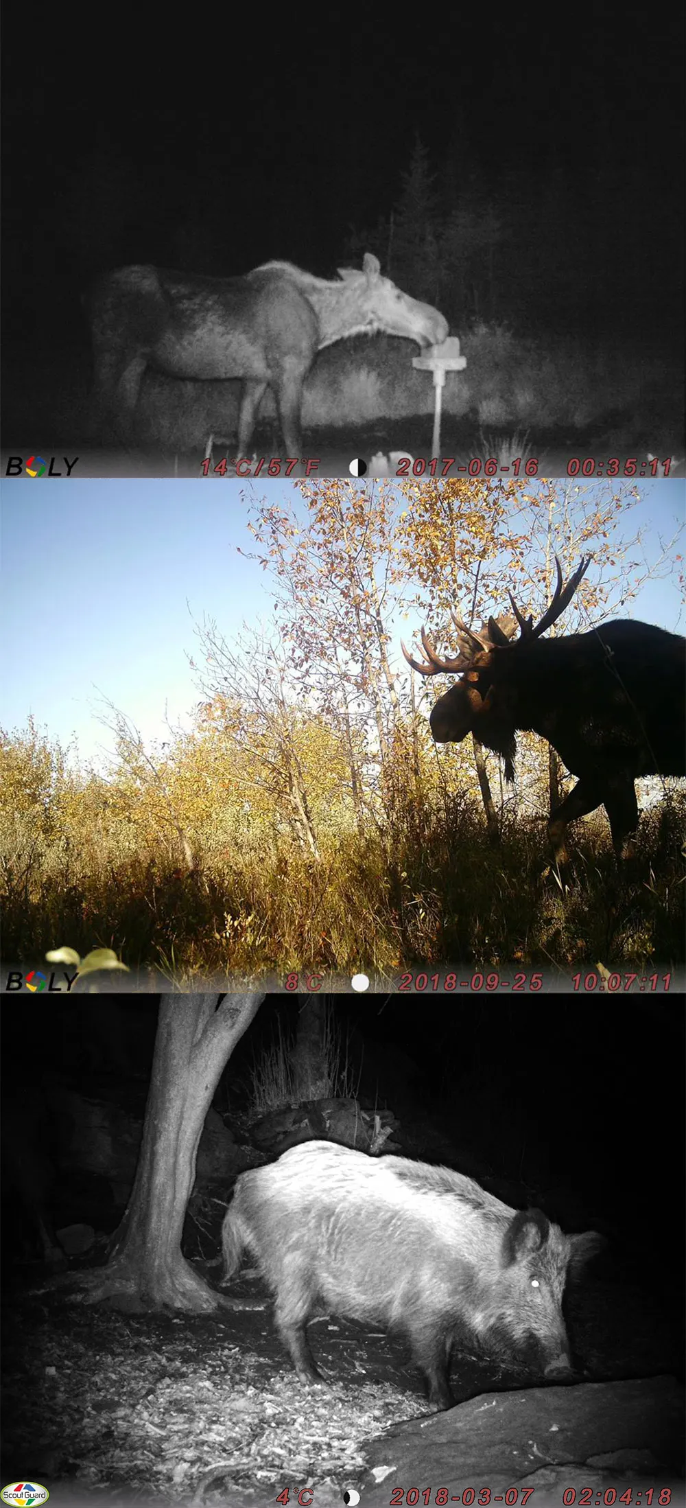 trail-camera-4g-with-gps10