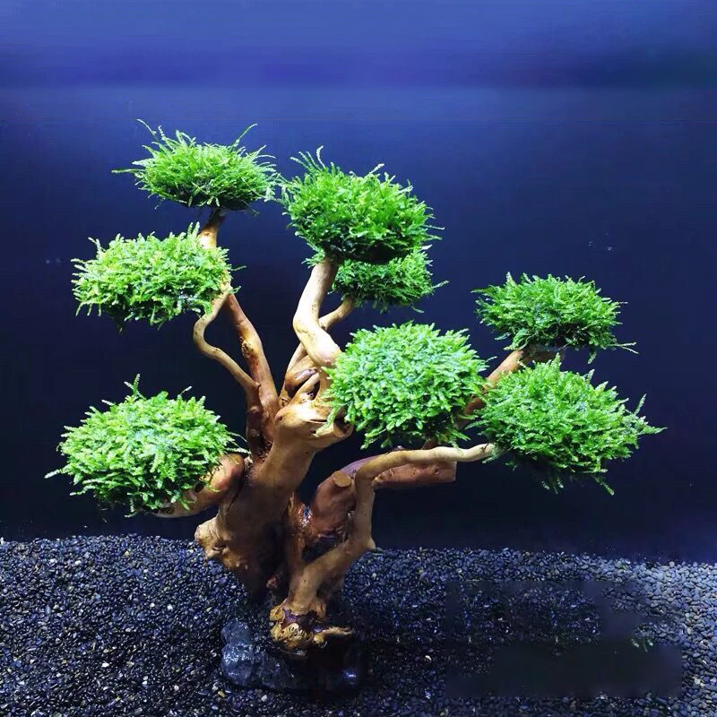 Aquarium Moss Tree Driftwood Fish Tank Landscaping DIY Decoration No Aquatic Plants fish tank ornaments,mini landscape ornaments,fish tank decorations,aquarium ornaments