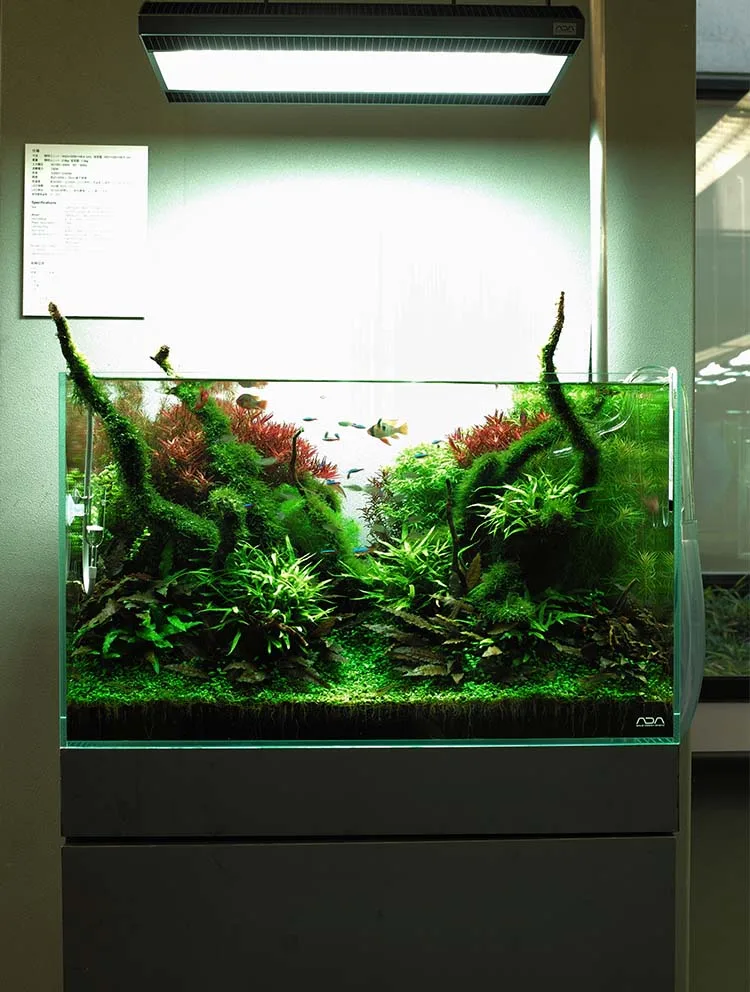 ADA ソーラー1 はずかしく メタルハライドランプ 