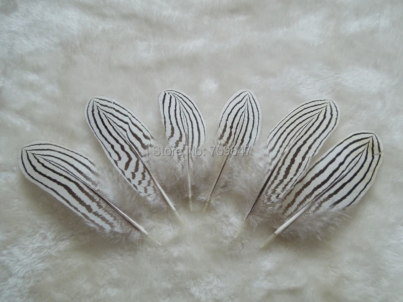 

50 шт./лот! Перья фазана из крыльев из натурального серебра 10-14 см, украшение для вечеринки, плюмашки, маленькие Шлейфы для рукоделия, сделай сам, изготовление ювелирных изделий