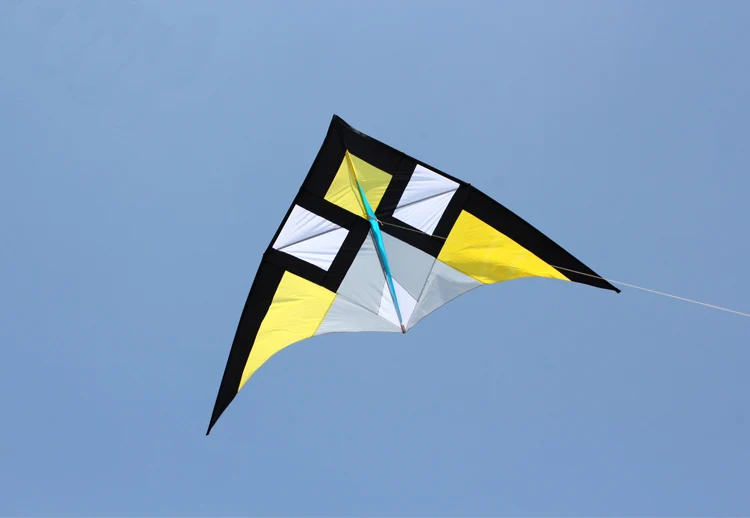 Strong Huge 118 Inch  Beginner delta Kite  Come With String And Handle for Adults Kites 5
