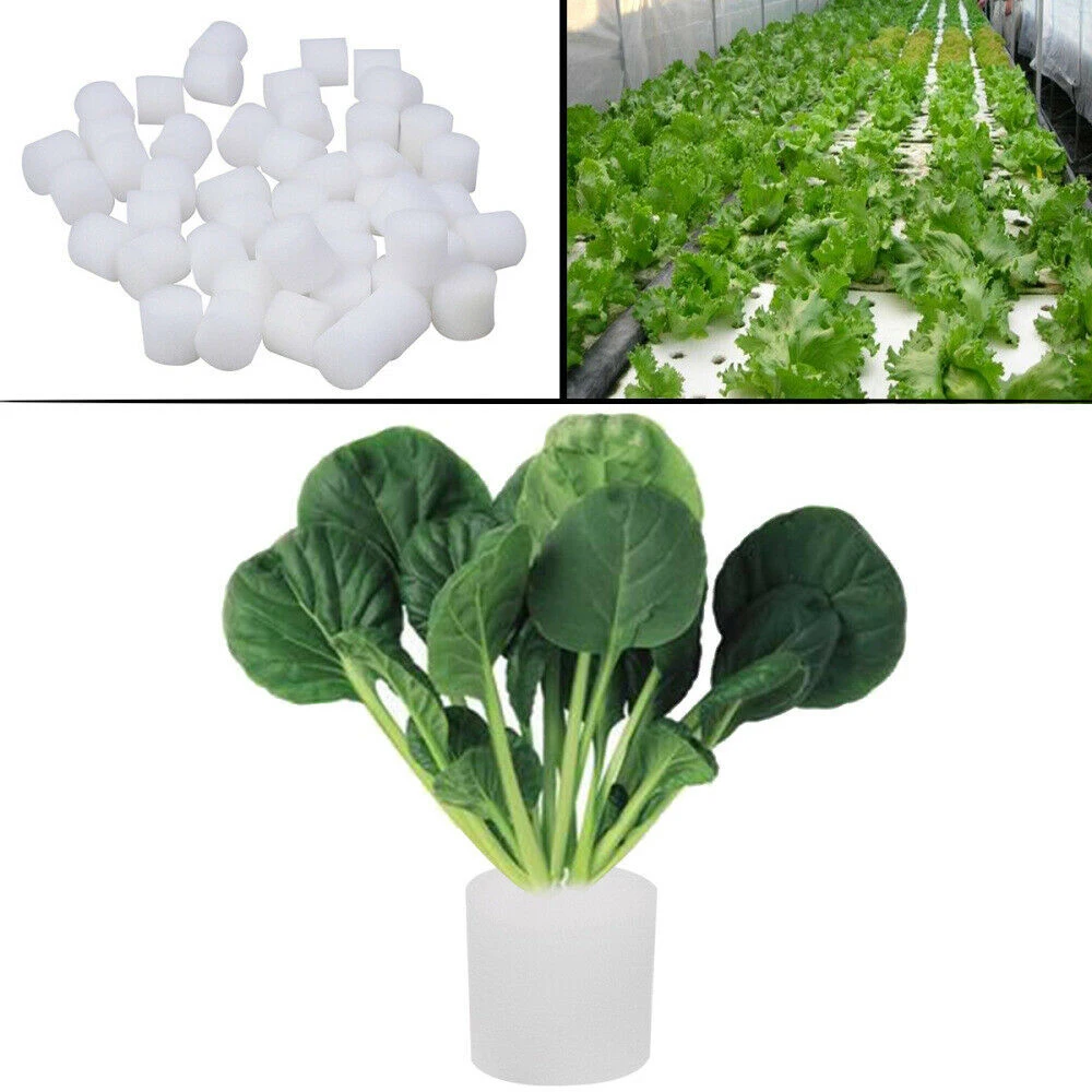 100Pcs Soilless Hydroponic Cylinders Sponge Plants Vegetable Seed Cultivation System For Fixing Nursery Pots Plants Root