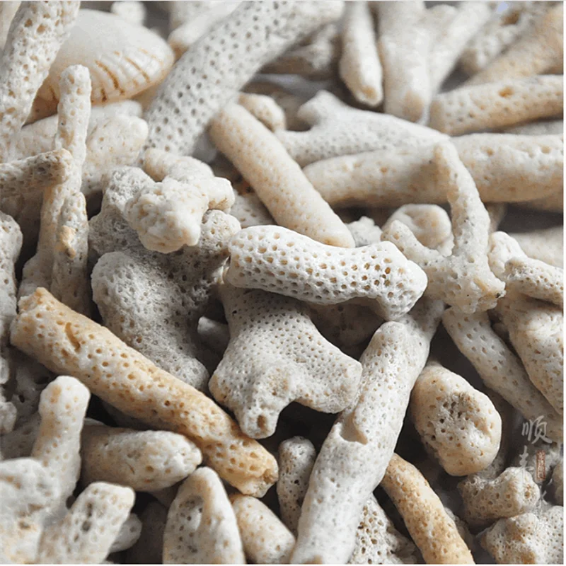 Aquarium Filter HONGYI Natural Coral Bone Stone Marine Aquarium Fish Tank Filter Media