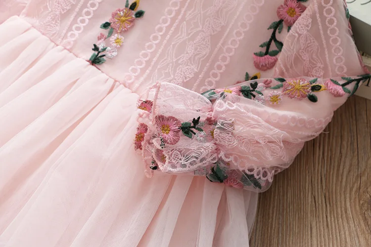 Модное кружевное платье с вышивкой для девочек; коллекция года; сезон весна