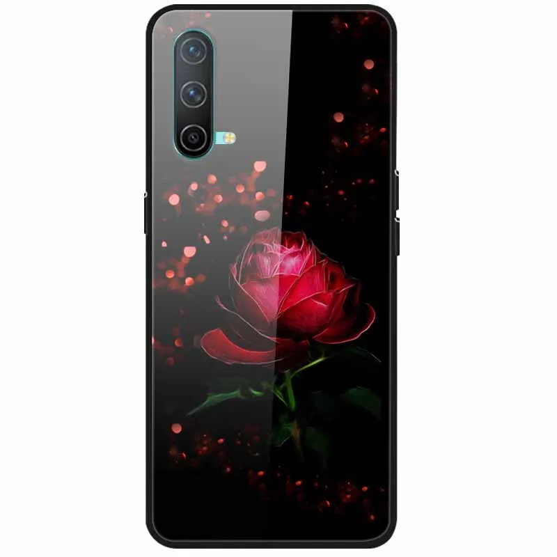 For OnePlus Nord CE 5G Case Tempered Glass Hard Back Cover for One Plus Nord CE 5G Protective Phone Cases Coque Soft Bumper 6.43 samsung flip cover