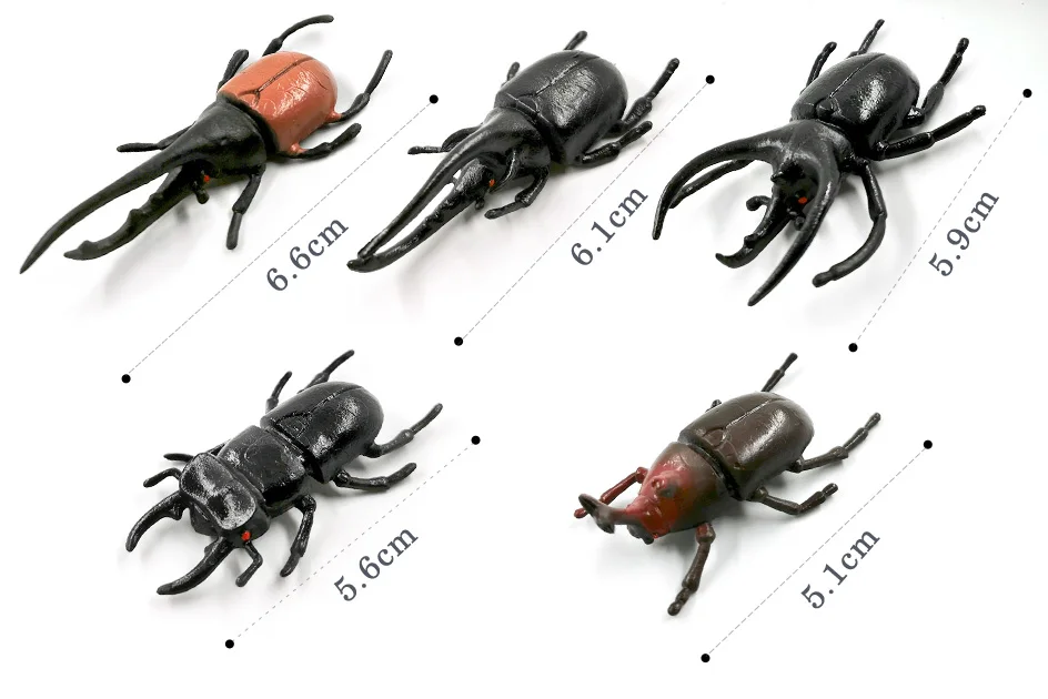 详情页-4款-昆虫甲虫等_06