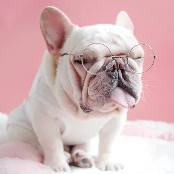 

Pet Sunglasses Decorative Sunglasses Round Metal Pet Decorative Accessories Pet Accessories Pet Sunglasses Pet Supplies