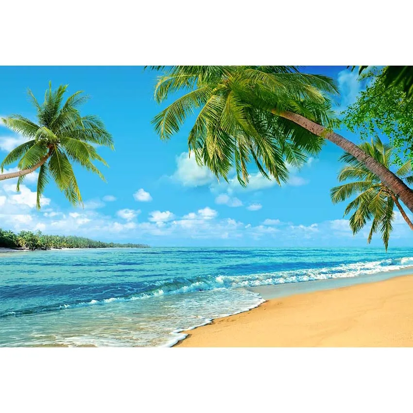 Tropical Beach and Sky Photography Backdrop