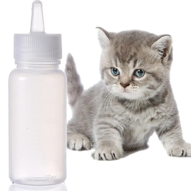 Mamadeira I Am Cat Gatinha Marie 240ml 0536 - BabyGo