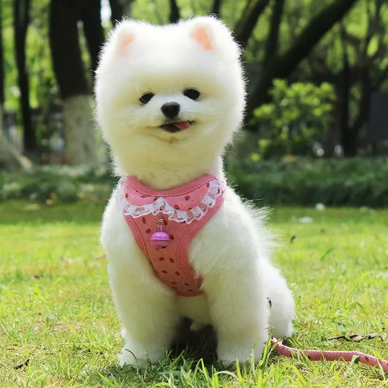 Soft Bell Small Dog Harness Leash Set Pet Adjustable Vest Lead Leash With Cute Lace Printing Pet Vest Breathable Mesh Cloth