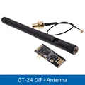 DIP with Antenna