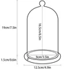 Clear Glass Jar Dome Cover Decorative Clear Glass Dome Cloche Bell Cover Fresh Flower Glass Cover for Wedding Party Valentine 4