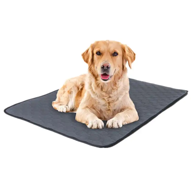 waterproof dog diapers