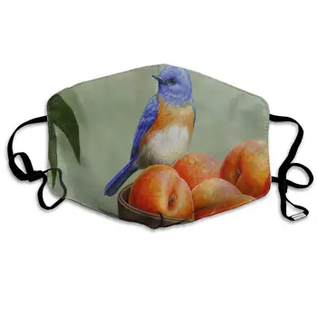 

Dustproof Washable Reusable Blue Bird And Peaches Mouth Cover Mask Protective Warm Windproof Mask