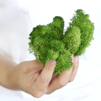 

200/500G Eternal Life Moss Artificial Plants Natural Moss For Wall Landscape Wedding Christmas Garden Autumn Colorful Decor