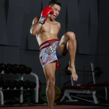 PUGILIST пламя серии белые тайские Брюки mma шорты для единоборств Бодибилдинг боевое искусство тренировочный бокс 4 цвета