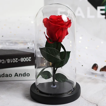 

New Mother's Day Beauty And Beast Eternal Flower Rose In Flask Wedding Deco Real Flowers In Glass Cover For Valentine's Day Gift