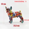 French Bulldog A