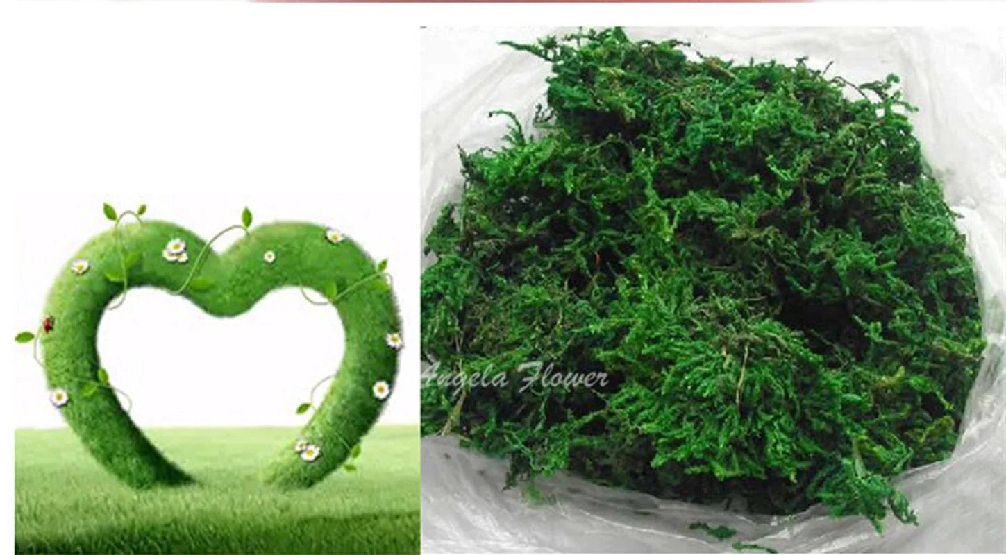 10g/20g Moss for Potted Plants Artificial Moss for Fake Plants Faux Moss  for Planters Decorative Moss for Craft and Home Decor - AliExpress