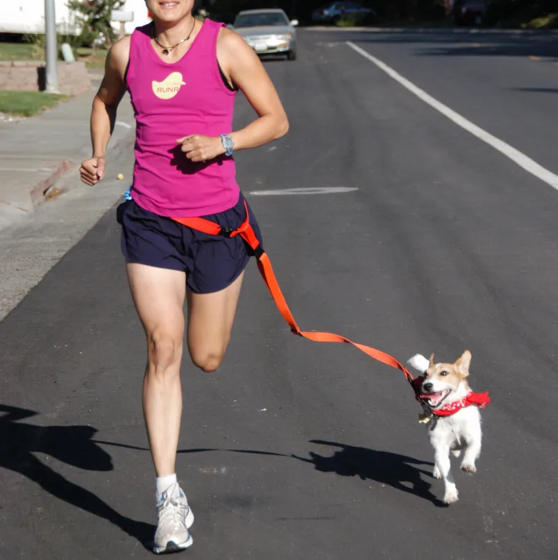 

Thick Nylon Running Sling Morning Run Dog Hand Holding Rope Nursing Dog Dog Traction Rope Pet Supplies