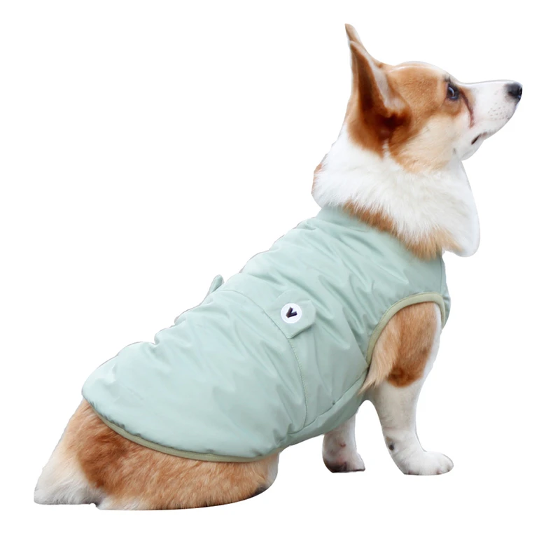 Green dog clothing Clearance
