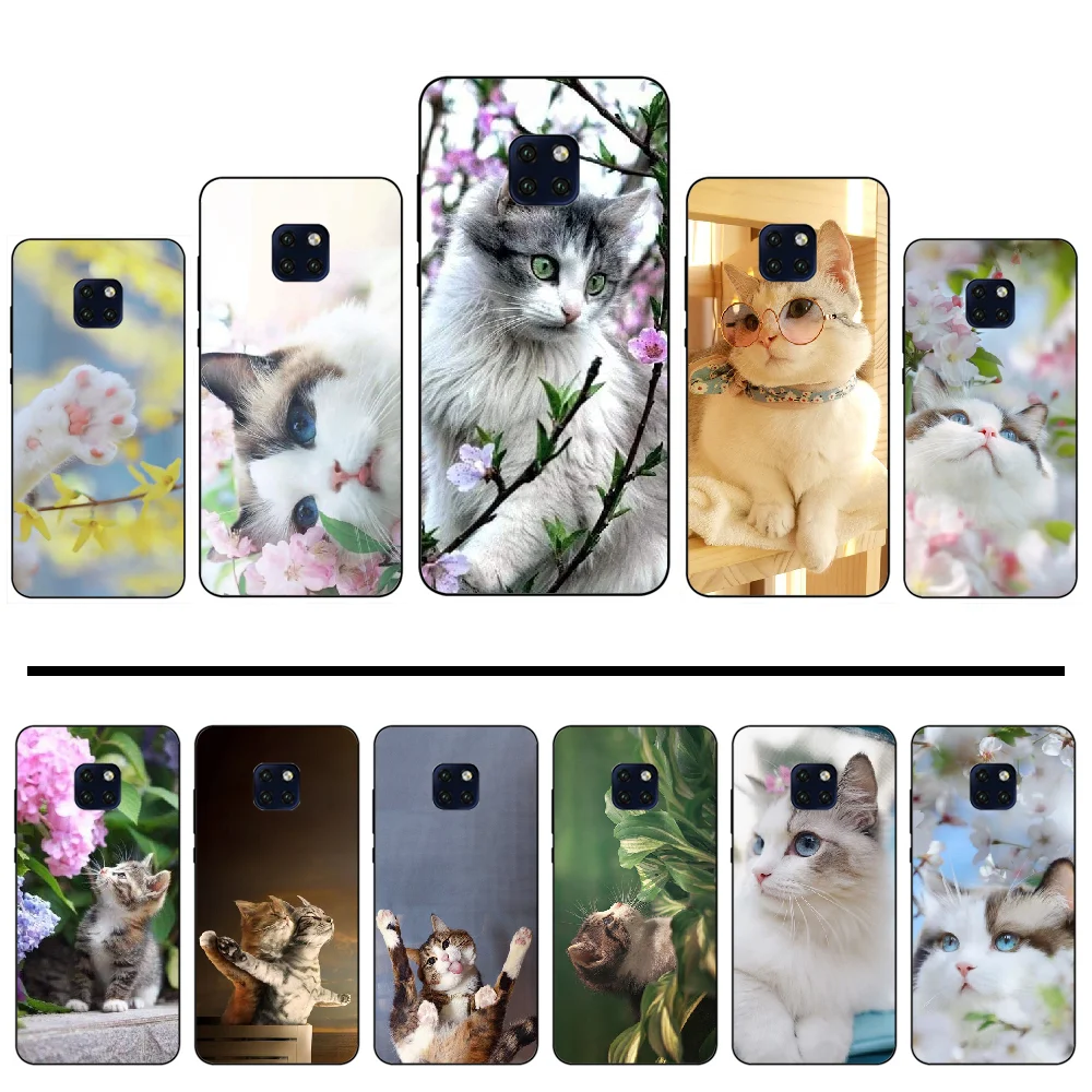 

cat kitty lovely cute animal pet Phone Case Cover For Huawei Mate 9 10 20 Pro lite 20x nova 3e P10 plus P20 Pro Honor10 lite