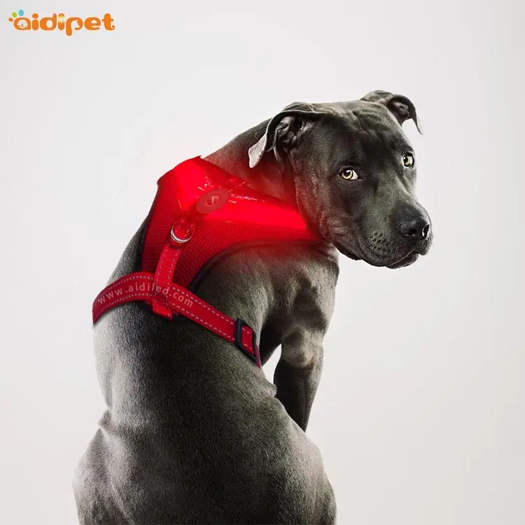 

LED Pet Chest Strap Medium Large Dog USB Charging Shining Harness Vest Style Hand Holding Rope