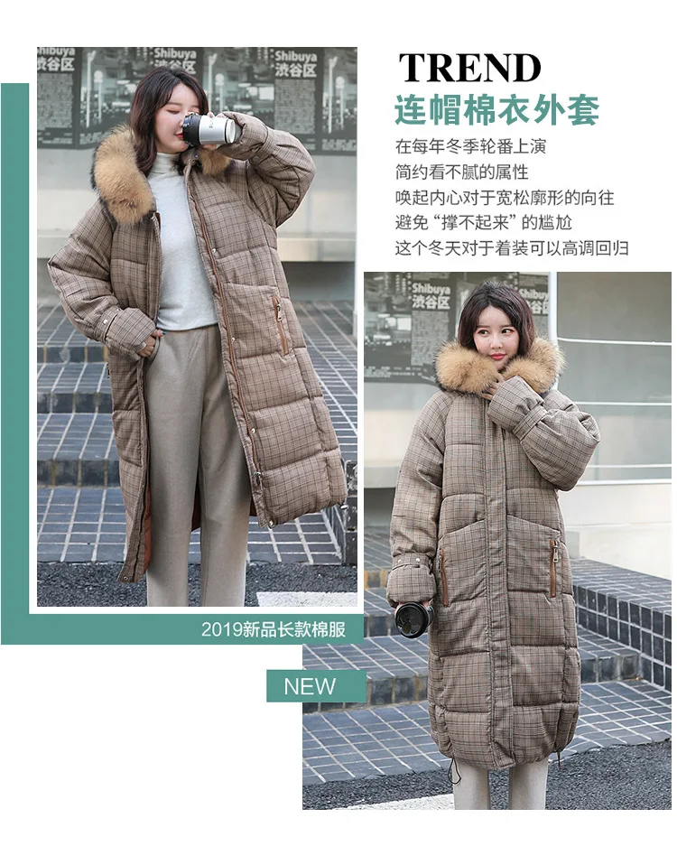 Hooded cotton cotton20190727-1_02.jpg