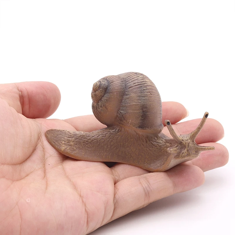 Solid simulation snail model insect animal small snails ornament handicraft garden decoration miniature figurines