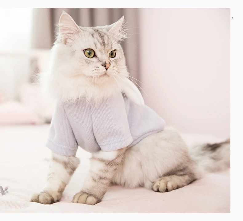 Одежда для кошек, осеннее платье, одежда с котенком, котятами, маленьким молочным котом, ничего, мех, кошка, предотвращение осени, шерсть, свитер, зимняя одежда